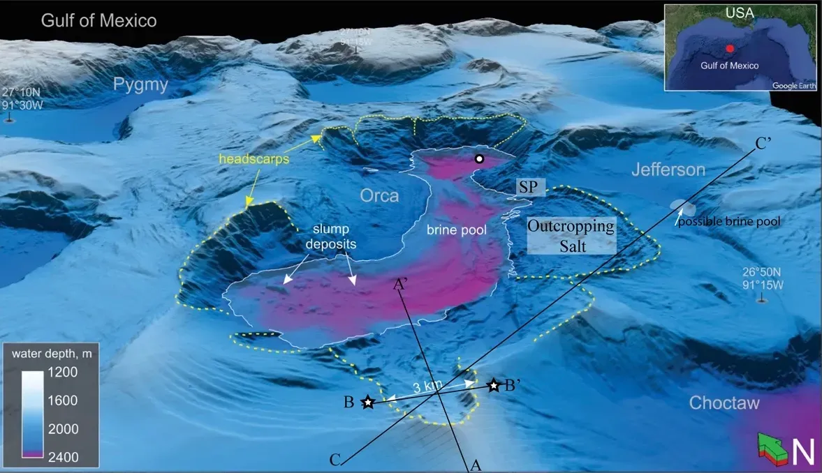 How a normal ocean turns into a toxic one (Fig. 1B+2 in Submarine Landslides Induce Massive Waves in Subsea Brine Pools. In: Scientific Reports, volume 9, No. 128; doi:10.1038/s41598-018-36781-7, CC BY 4.0)