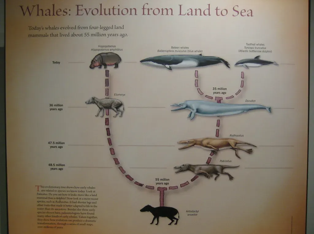 Conclusion: The Strangest Part Is That This Is All Real (r.j.wagner, Flickr, CC BY 2.0)
