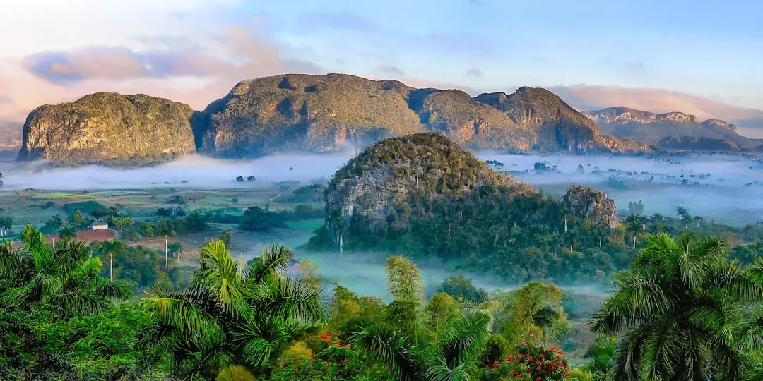 1. The Jurassic World Was Often Hot, Humid, and Lush - Not Just Desert and Dust (Image Credits: Unsplash)