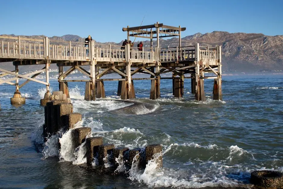 #8 - Marine Piers and Coastal Piles (Image Credits: Pexels)