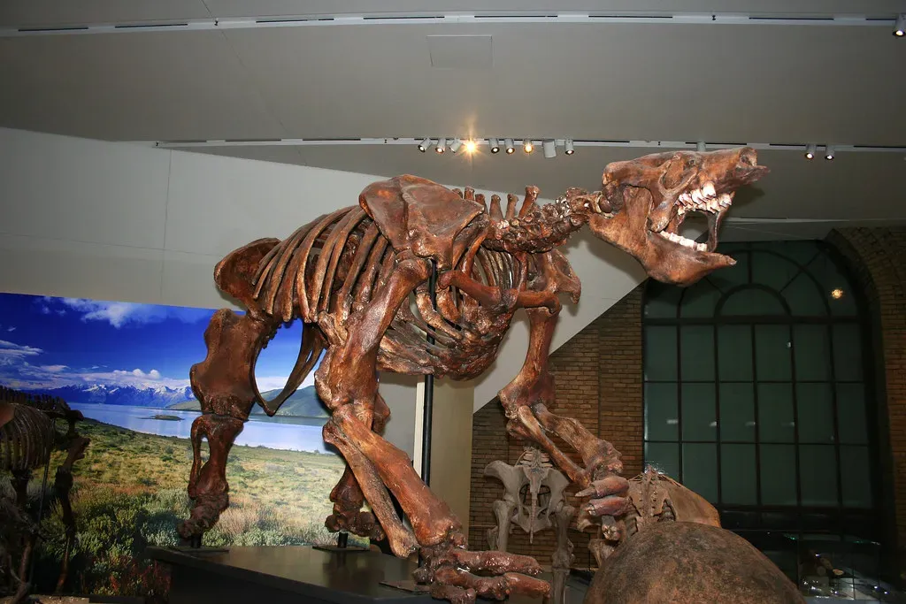 Conclusion (Image Credits: Flickr)