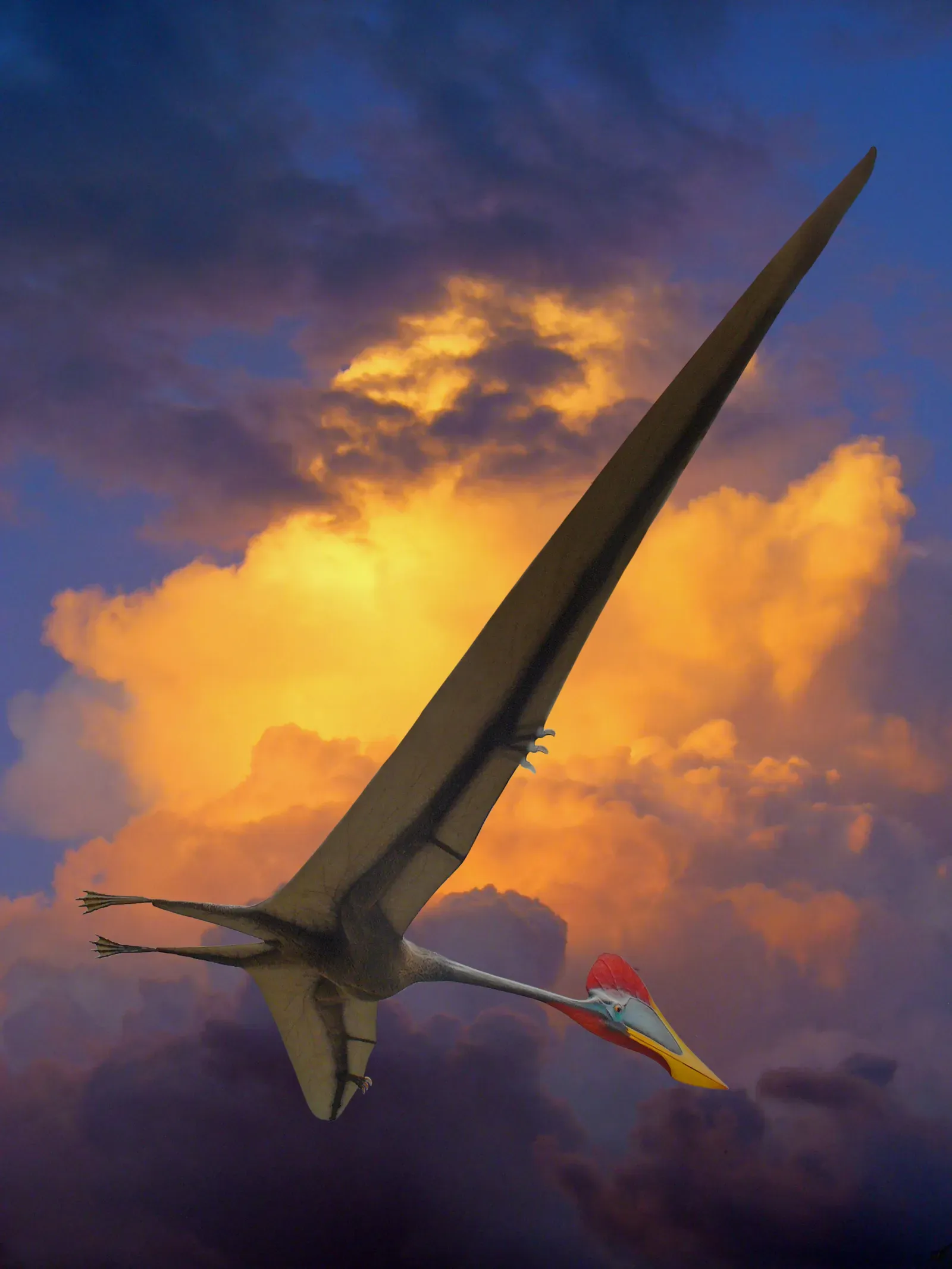 Quetzalcoatlus: The Undisputed King of the Ancient Sky (By Model created by René Kastner, Staatliches Museum für Naturkunde Karlsruhe, Germany. Foto: H. Zell, CC BY-SA 3.0)