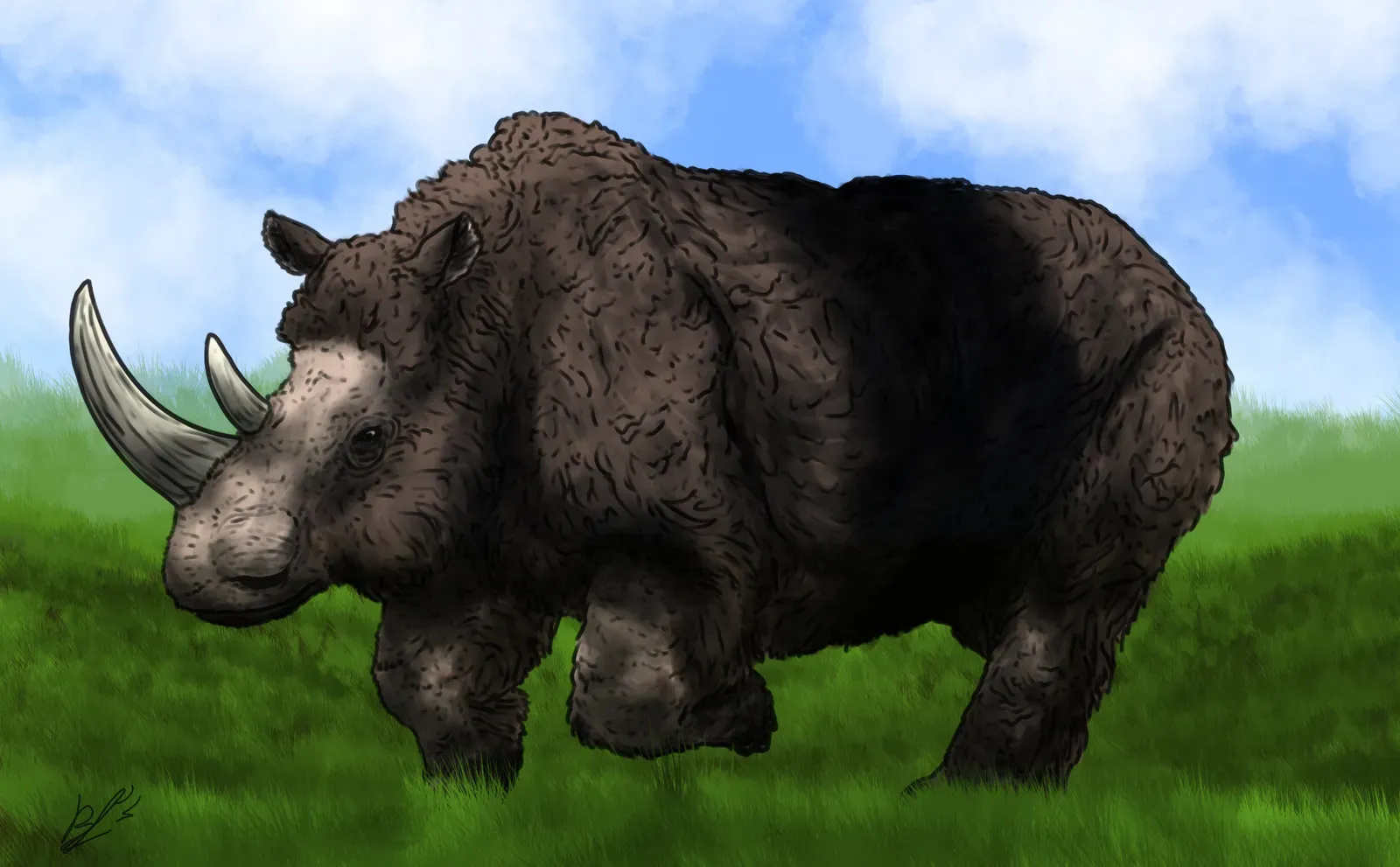 #5 - They Didn't Roam in Big Herds Like Modern Rhinos (By Mr Langlois10, CC BY-SA 4.0)