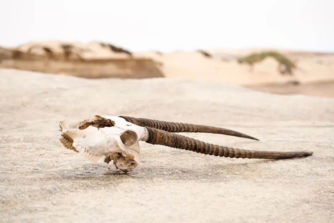 Climate Stress and the Birth of Behavioral Flexibility (Image Credits: Unsplash)