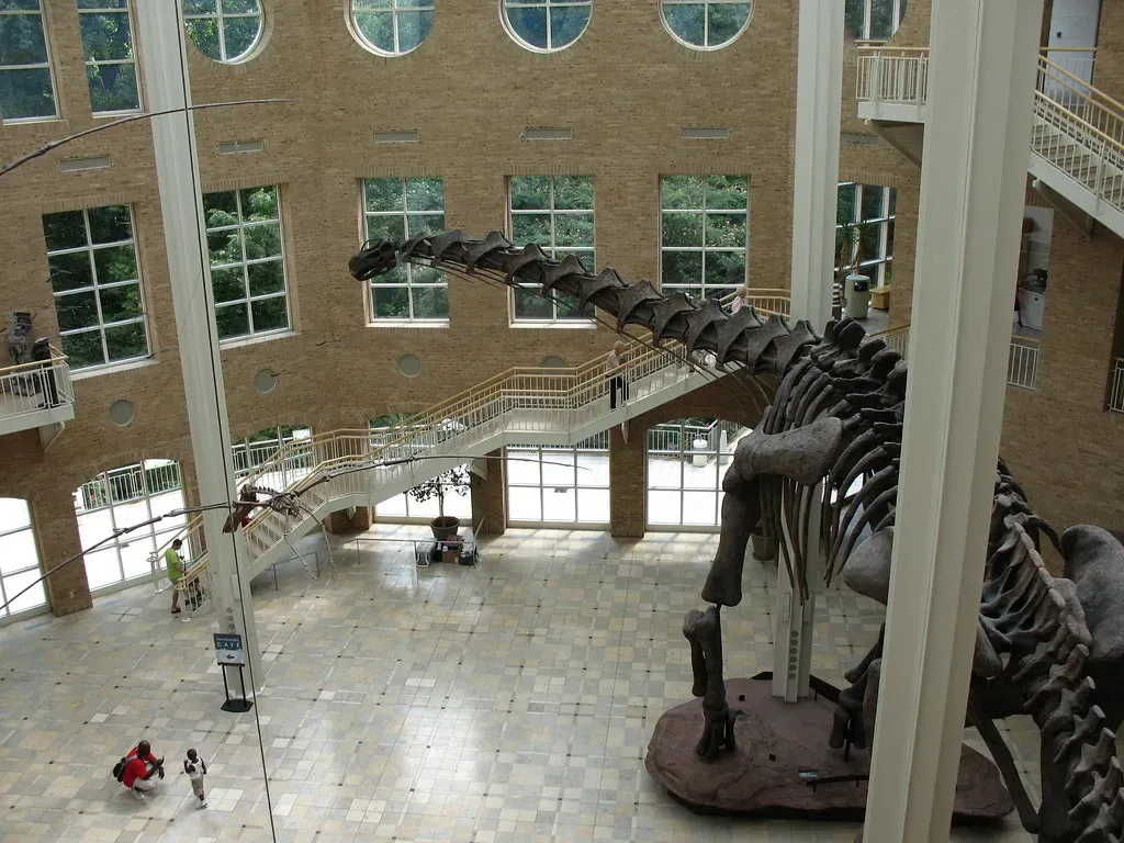 Argentinosaurus: The Reigning Heavyweight Champion (hoyasmeg, Flickr, CC BY 2.0)
