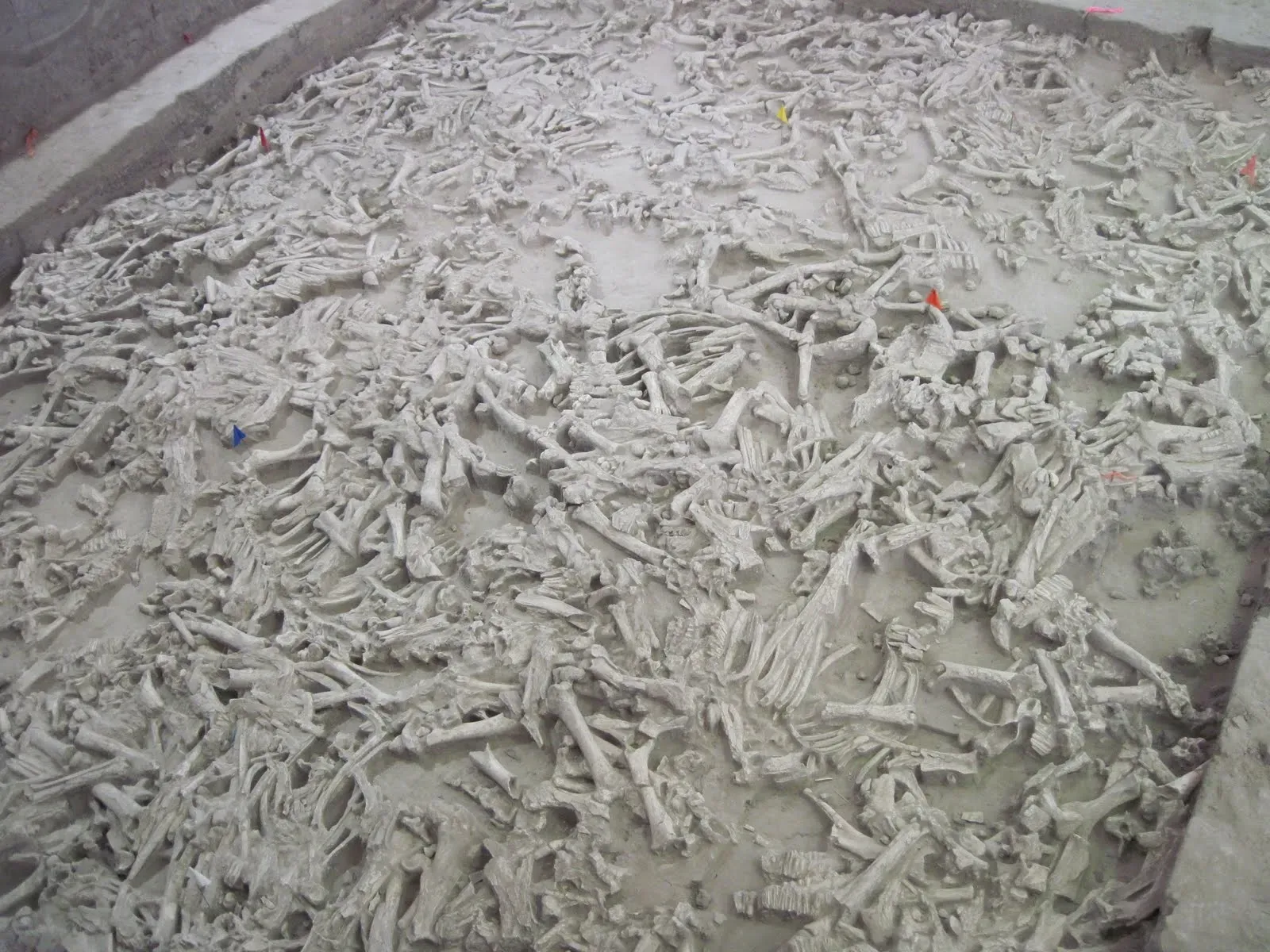 Stacked Like Pancakes in Transylvania (Image Credits: Wikimedia)