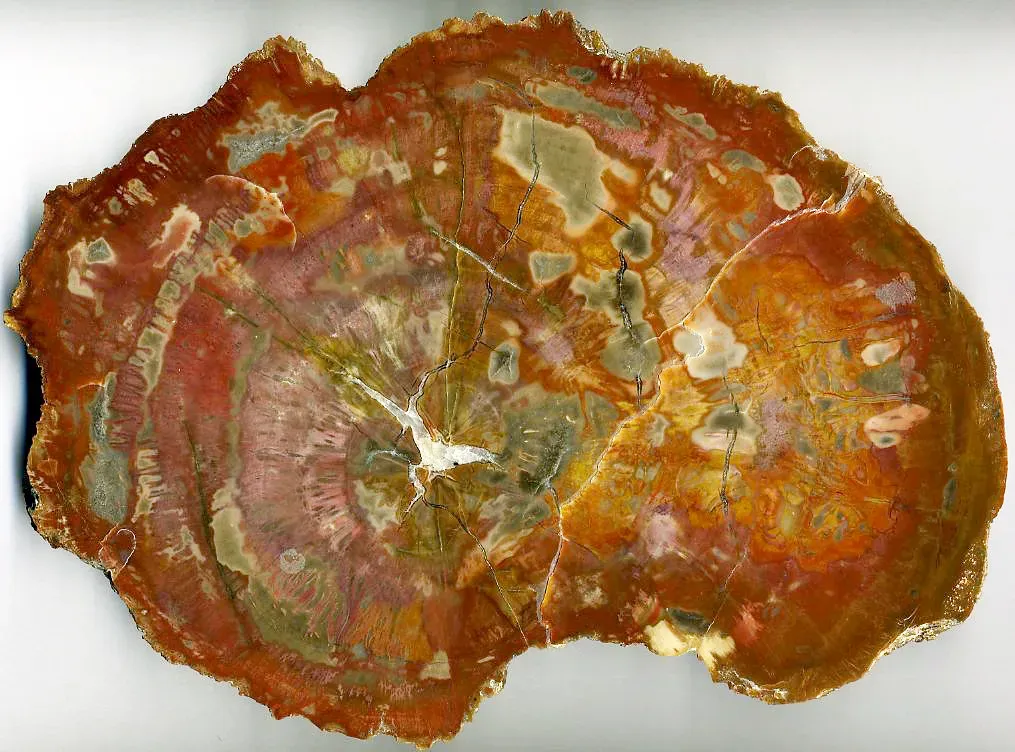 #3 - Are the "Oldest Fossils on Earth" Even Real? (James St. John, Flickr, CC BY 2.0)