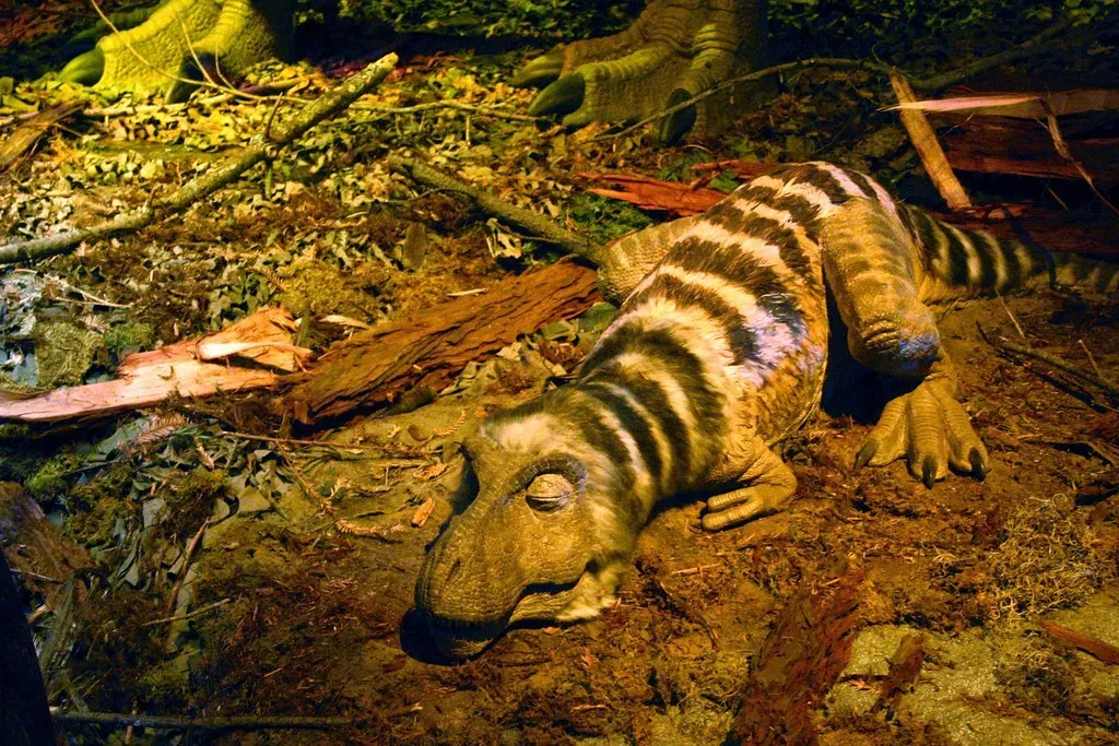 Many Dinosaurs Had Feathers, Not Scales (Image Credits: Flickr)