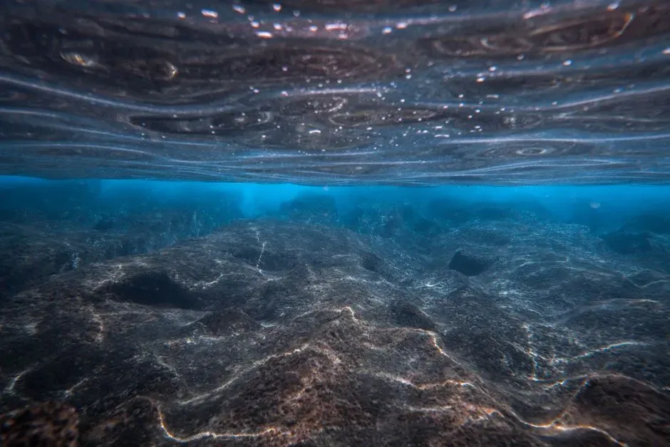 The black ooze: organic‑rich mud that suffocated life (Image Credits: Pexels)