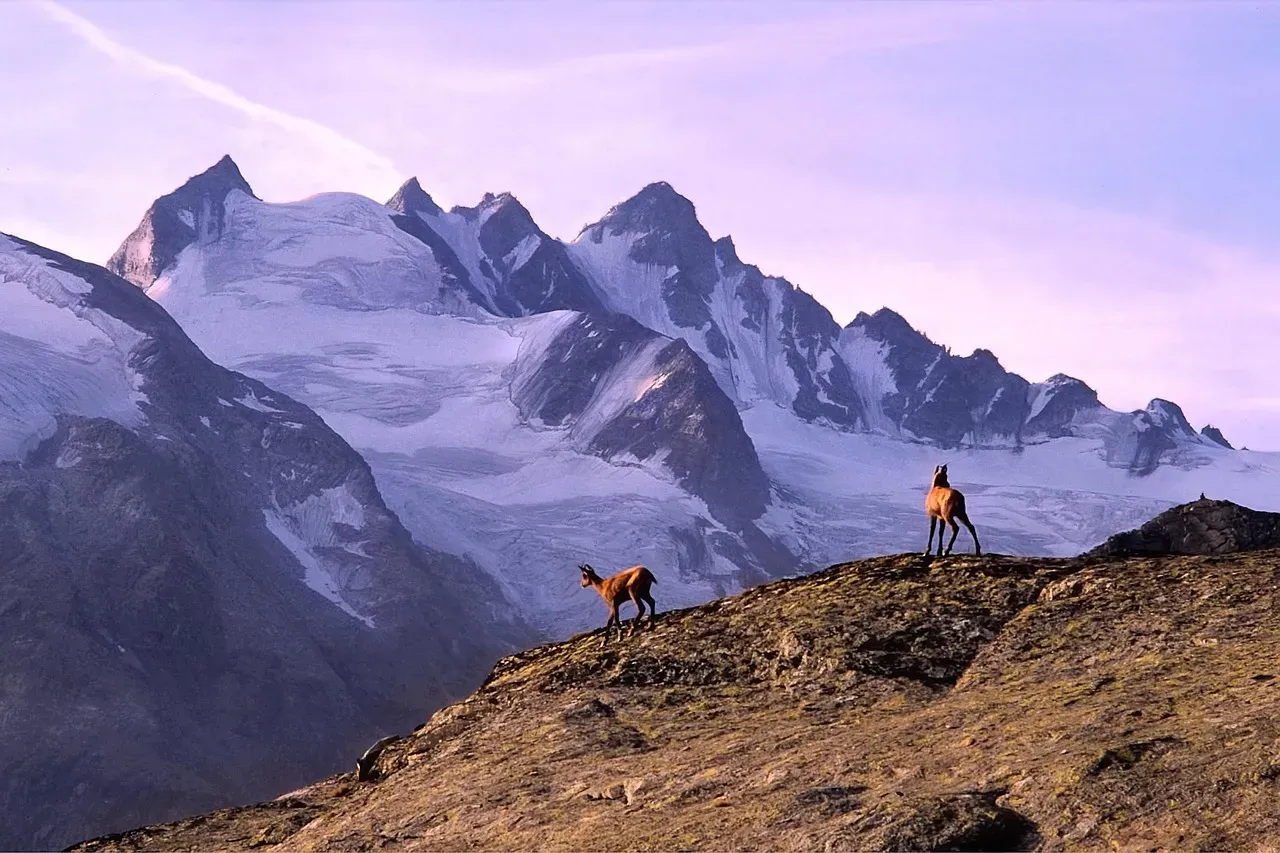 Why High Altitude Is Such a Brutal Test for the Human Body (Image Credits: Pixabay)