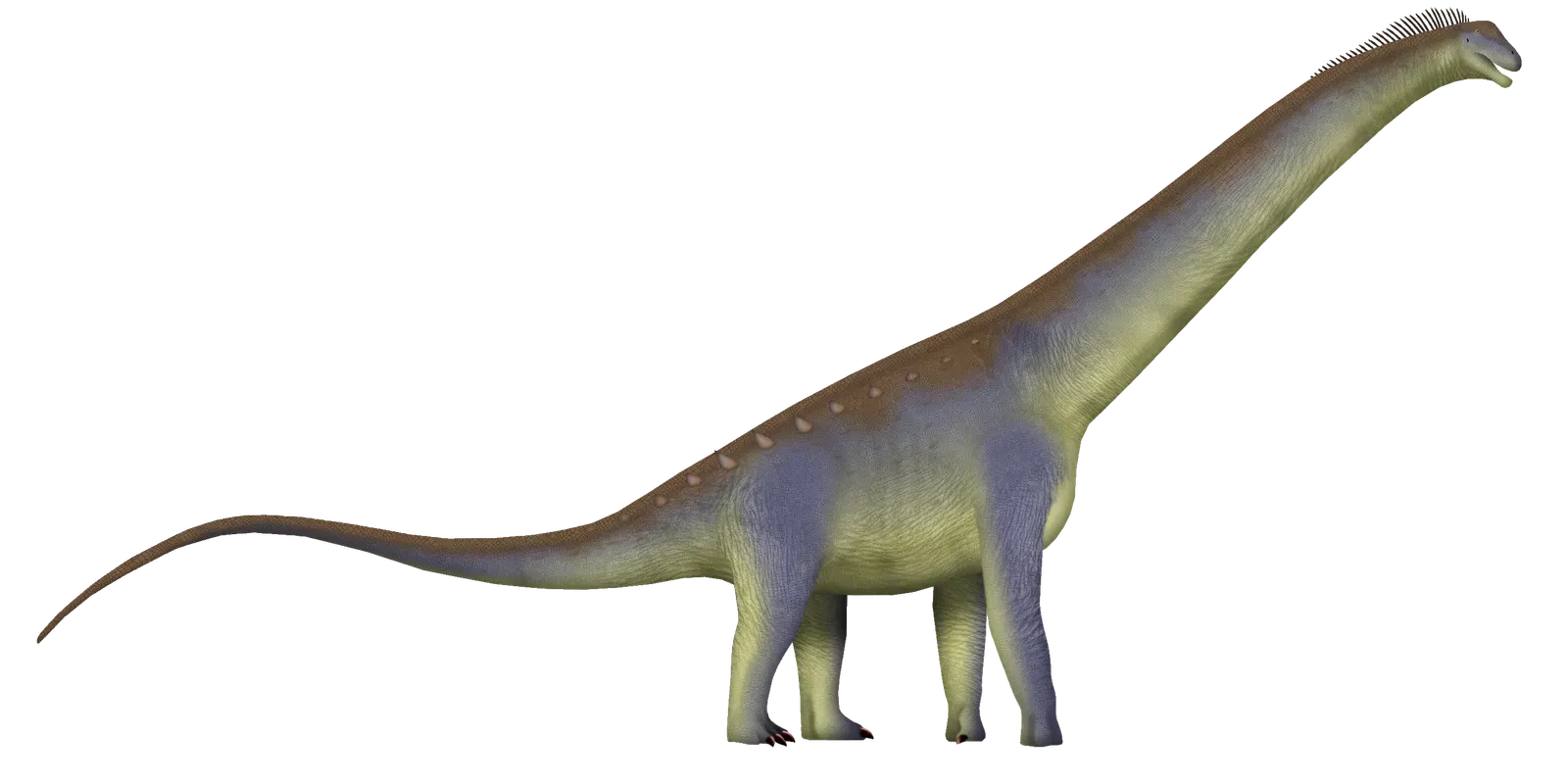 1. Supercharged Dinosaur Growth: How You Reached Elephant Size… Then Kept Going (By TotalDino, CC BY-SA 4.0)