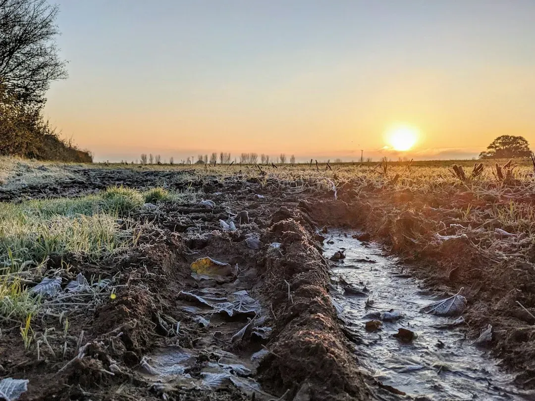 #3 A Ditch Records What the Soil Is Made Of and How It Is Changing (Image Credits: Unsplash)