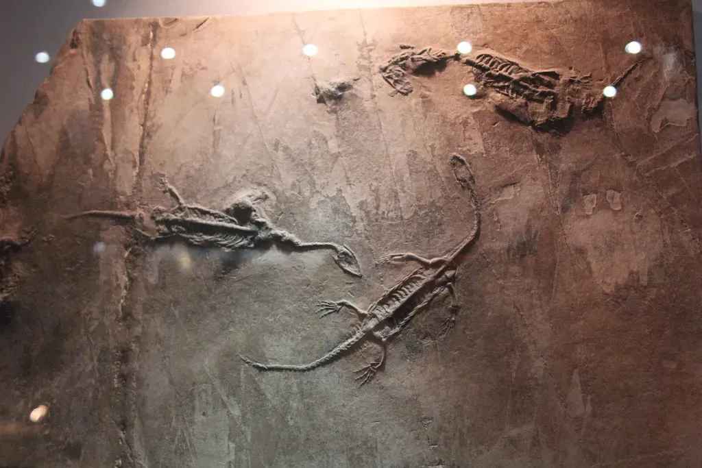 What (and How) Did Such a Tiny Marine Reptile Eat? (Image Credits: Flickr)