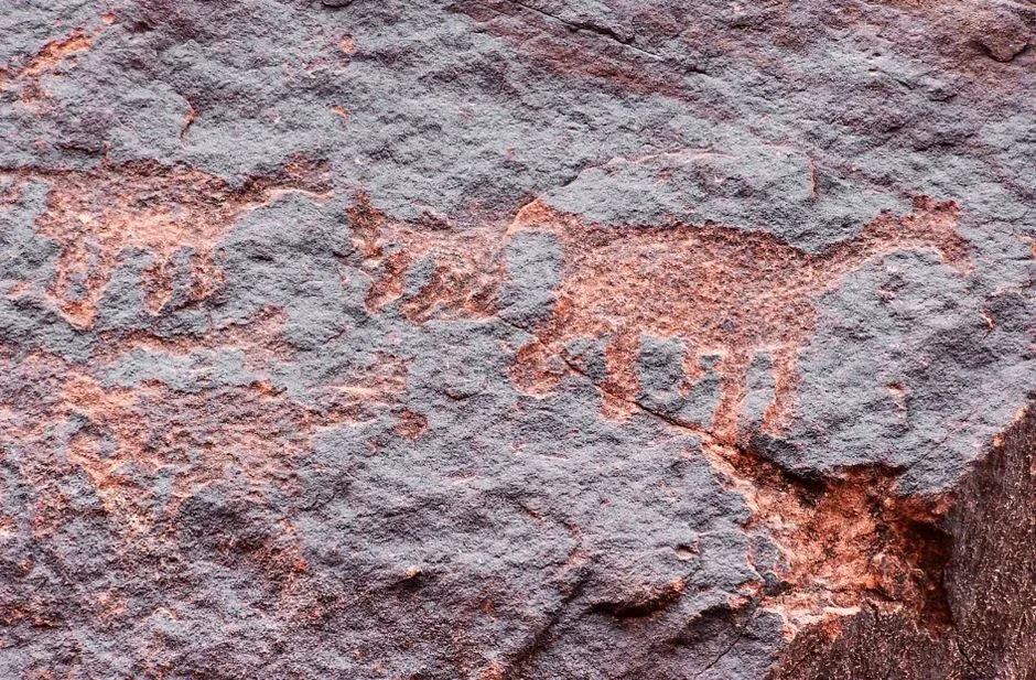 Beyond Europe: Rock Art As A Global Animal Archive (Image Credits: Pexels)