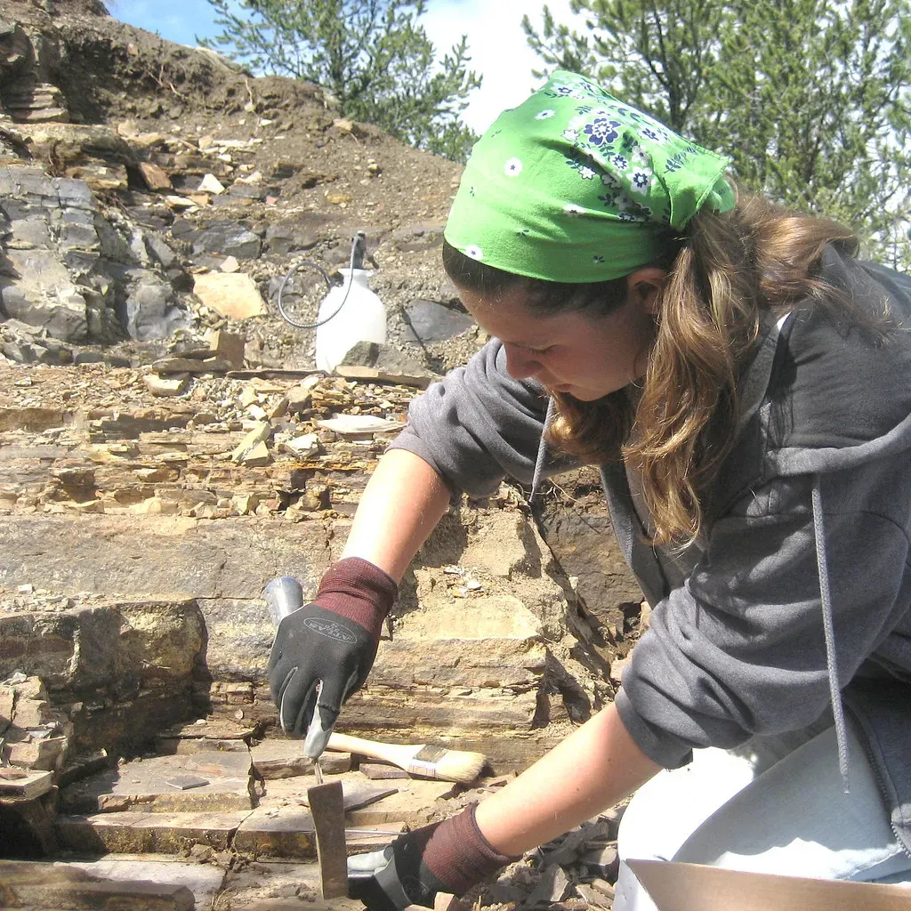 Conclusion (Image Credits: Flickr)