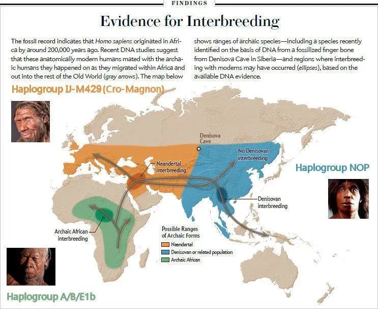 When and How Did Humans and Neanderthals Actually Meet? (Image Credits: Flickr)
