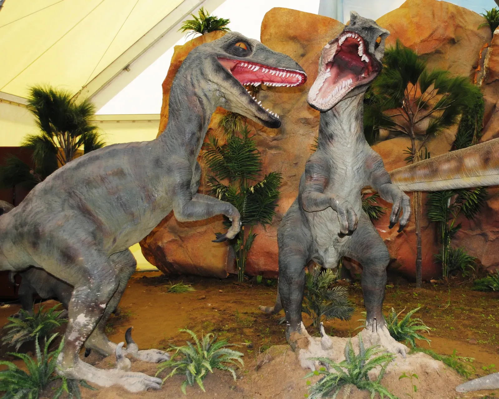 2. Naked, Scaly Raptors That Look More Like Movie Monsters Than Real Animals (By HombreDHojalata, CC BY-SA 3.0)