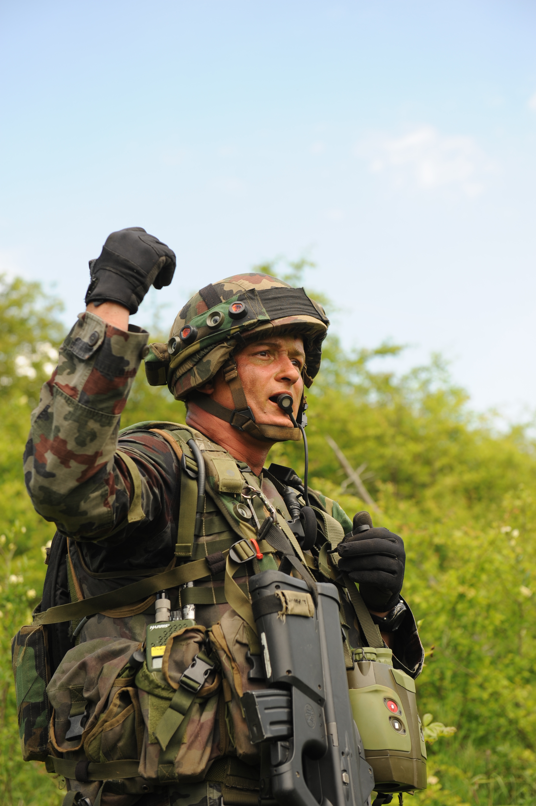 Leo: Take Charge of Morale (Image Credits: Wikimedia)