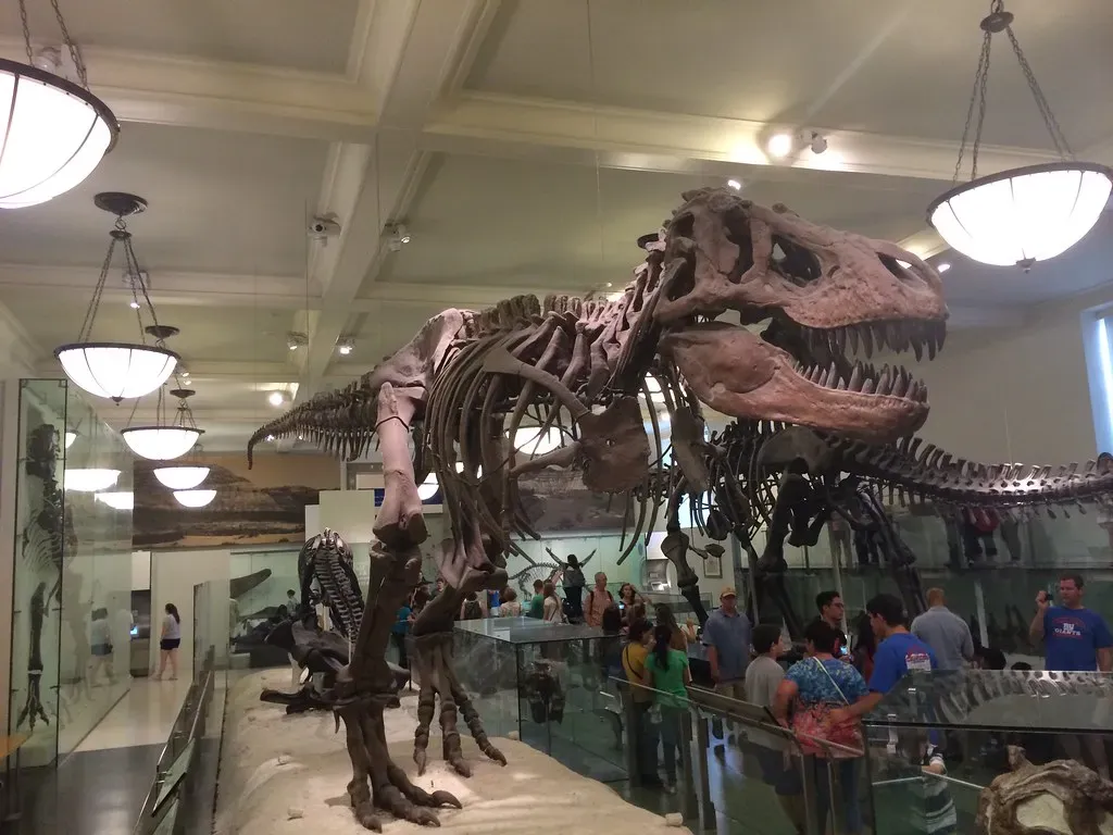 1. The Upright Posture Advantage: Walking Tall to Grow Big (arnybo, Flickr, CC BY 2.0)