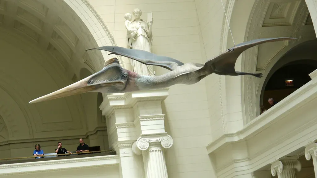 Quetzalcoatlus: The Giant of the Skies (Image Credits: Flickr)