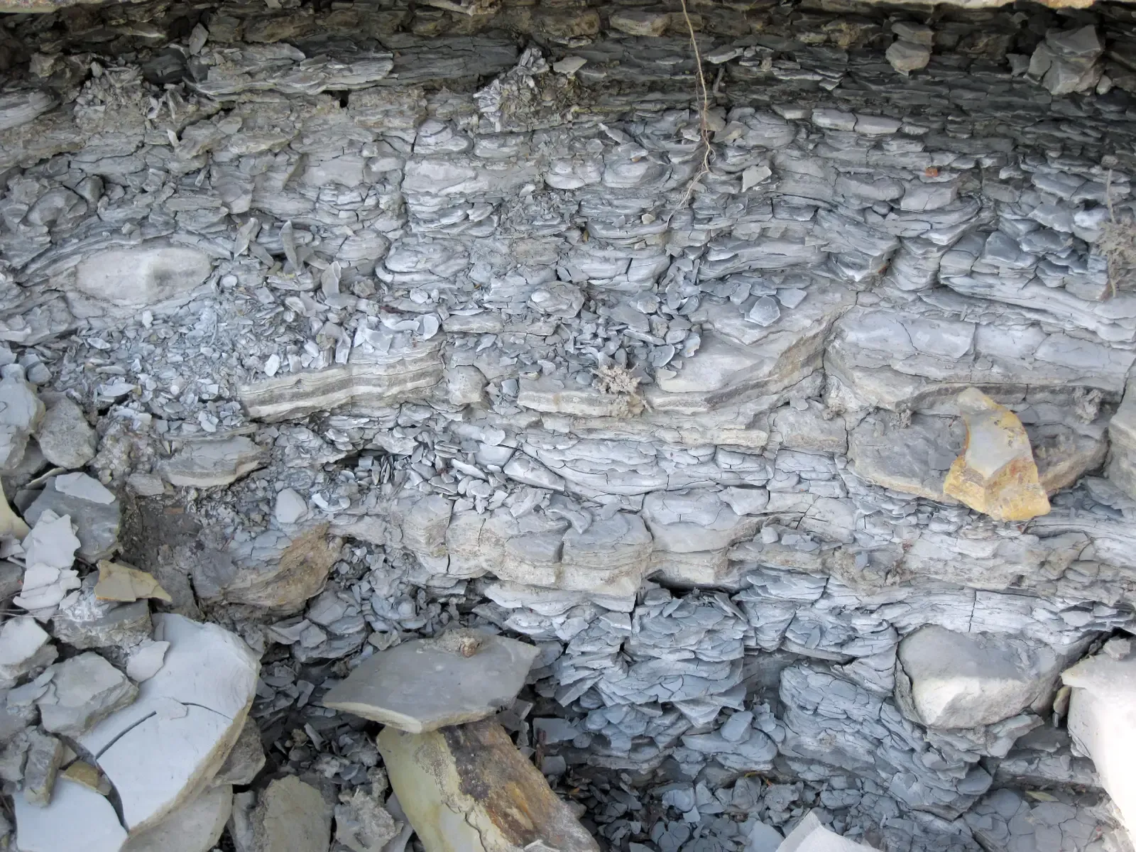 2. The Apex Chert Microfossils, Pilbara, Western Australia (By James St. John, CC BY 2.0)