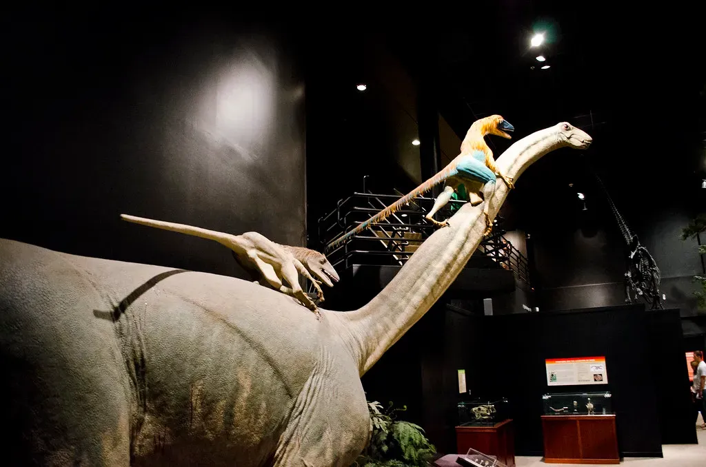 The Deinonychus Debate That Changed Everything (Image Credits: Flickr)