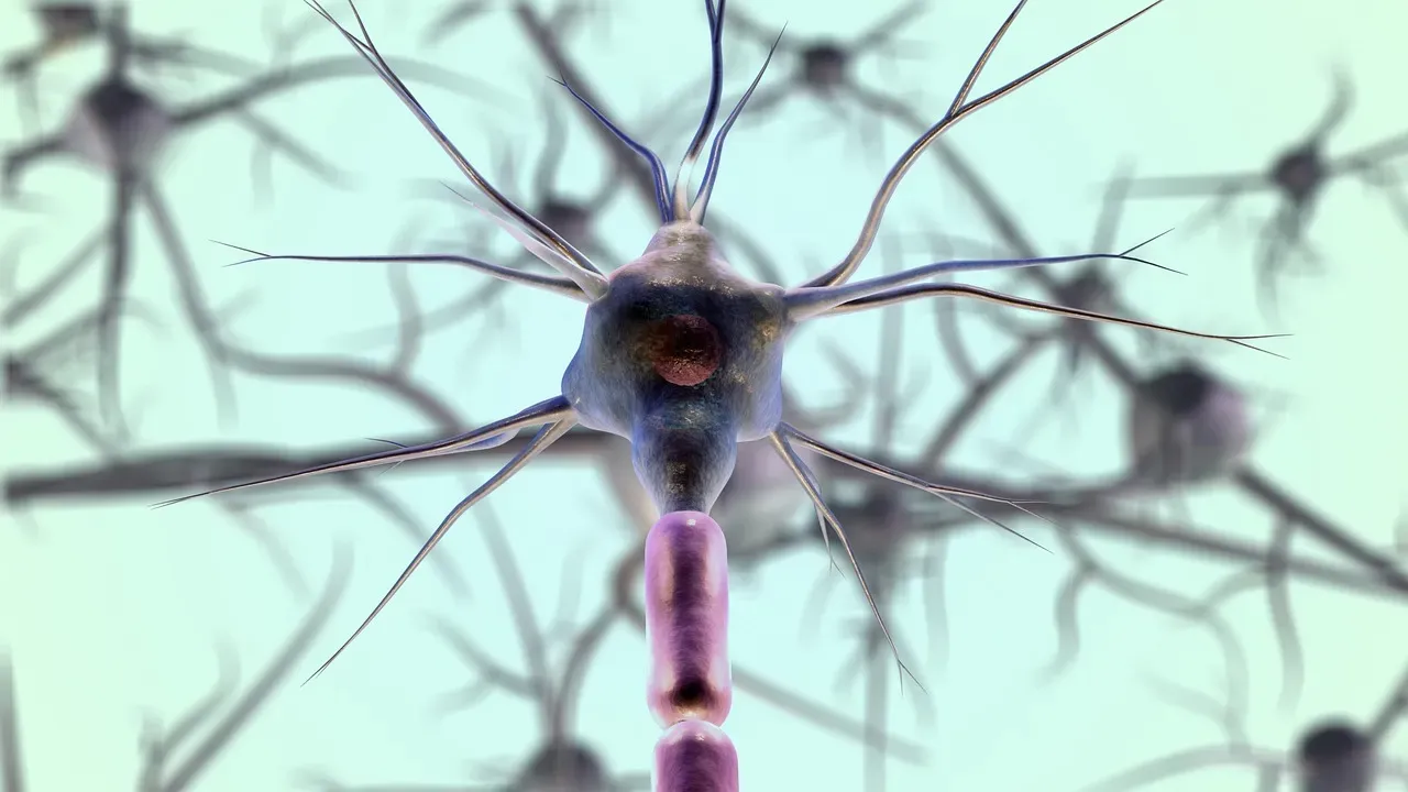 Dopamine, Reward, And Why Your Brain Loves Closure (Image Credits: Pixabay)