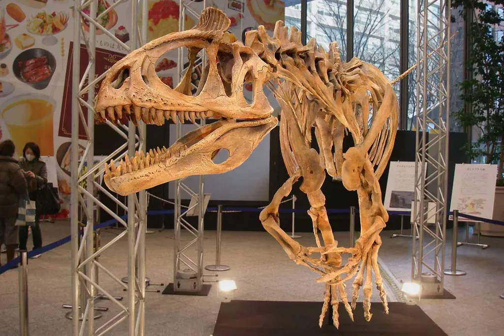 Conclusion: A Single Dinosaur That Shrunk the Distance Between Us and Antarctica (Kabacchi, Flickr, CC BY 2.0)