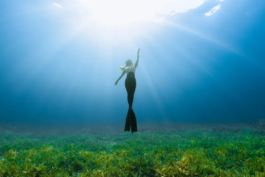 #10 - The "Mermaid" Documentary Discovery Channel Had to Walk Back (Image Credits: Unsplash)