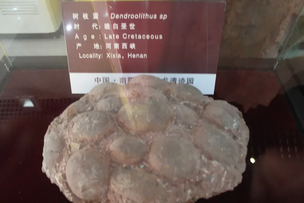 Conclusion (Image Credits: Flickr)