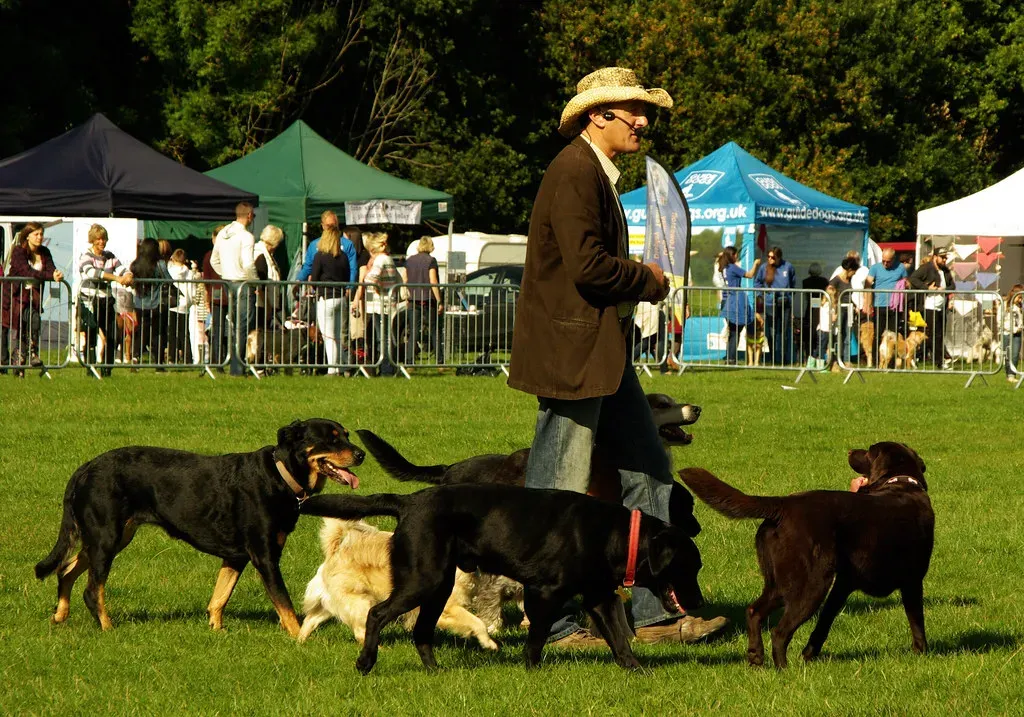 Dogs: Your Loyal and Trainable Companion (Image Credits: Flickr)