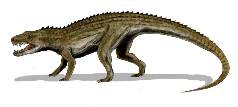Postosuchus: The North American Terror (Image Credits: Wikimedia)
