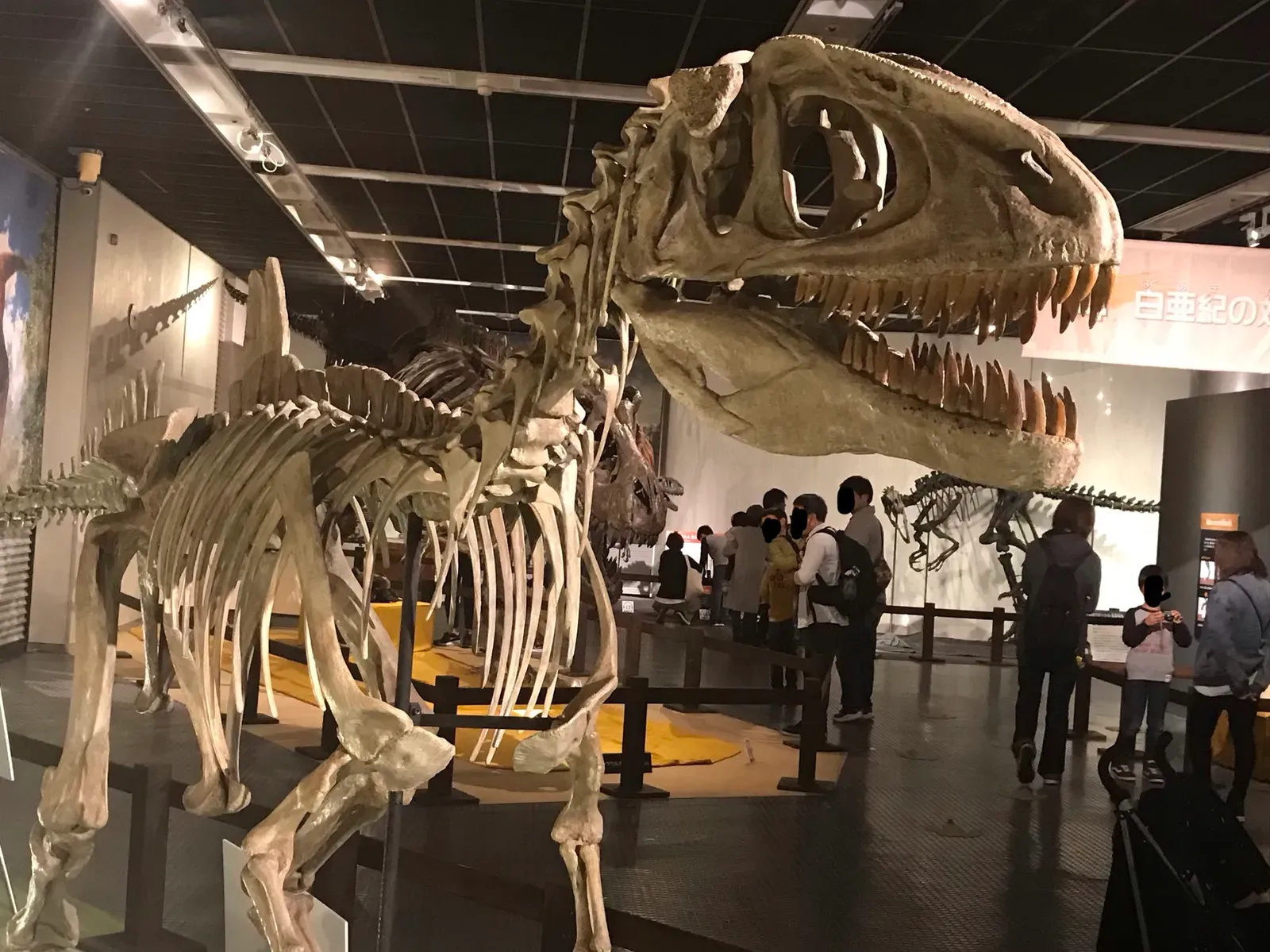 #8 - Concavenator: The Dinosaur With Two Mysterious Humps (By ケラトプスユウタ, CC BY-SA 4.0)