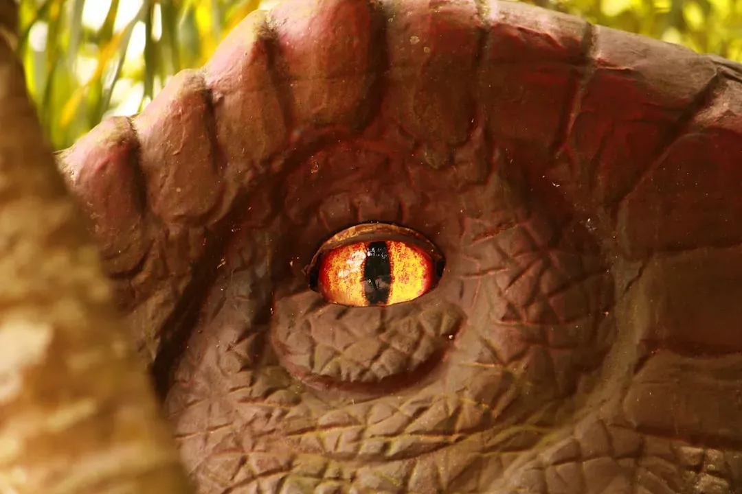 2. T. rex Had Eyes the Size of Oranges and Binocular Vision Like a Hawk (Image Credits: Unsplash)