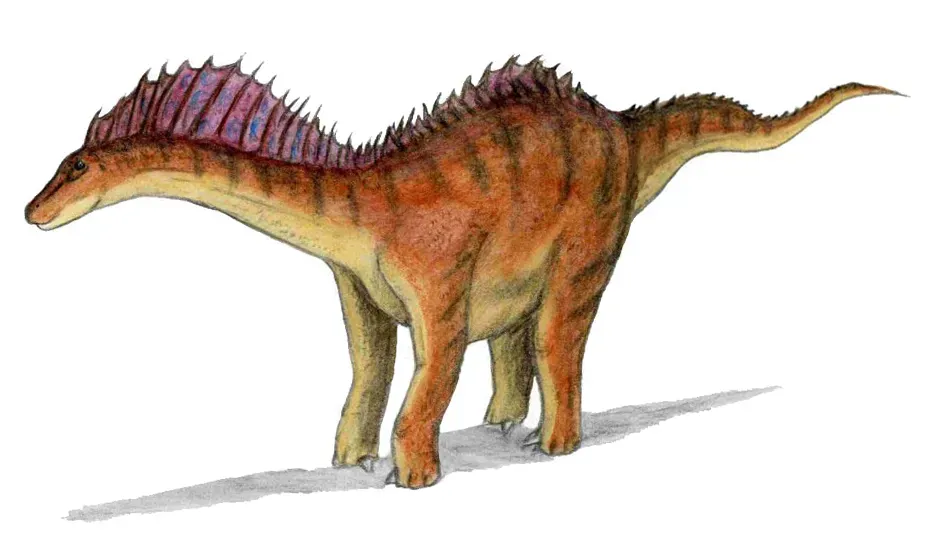 Amargasaurus: The Spiny‑Necked Sauropod in Windy, Near‑Desert Plains (By User:ArthurWeasley, CC BY-SA 3.0)