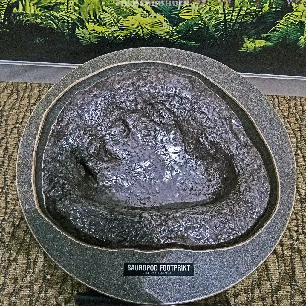 What the Site Tells Us About Dinosaur Behavior (FotoShipshuck, Flickr, CC BY-SA 2.0)