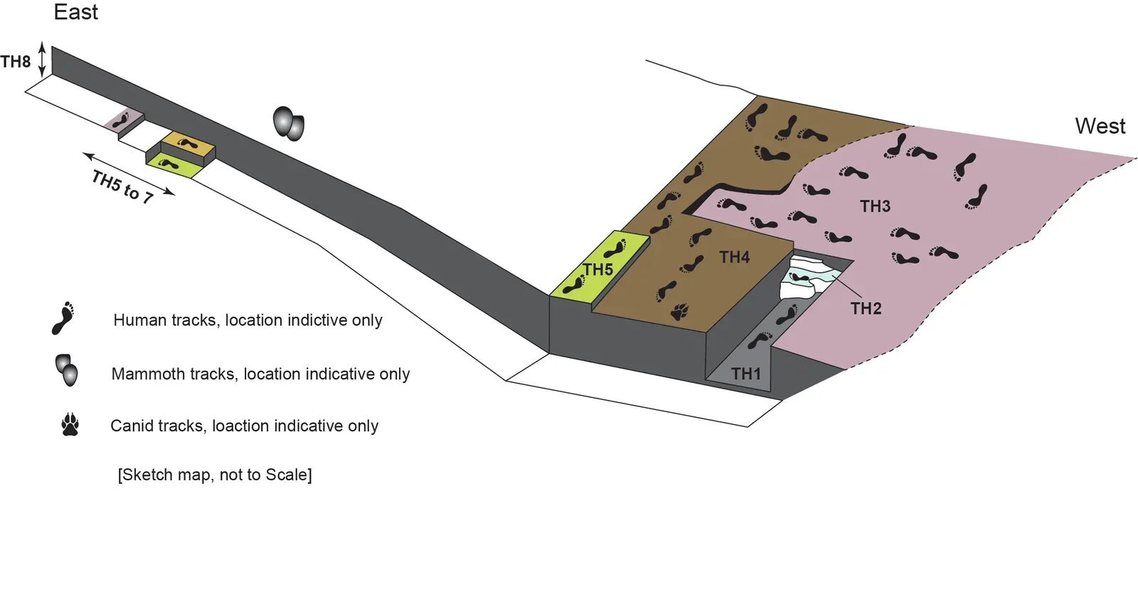 Why These Footprints Feel So Personal - And What They Say About Us (NPGallery, Public domain)
