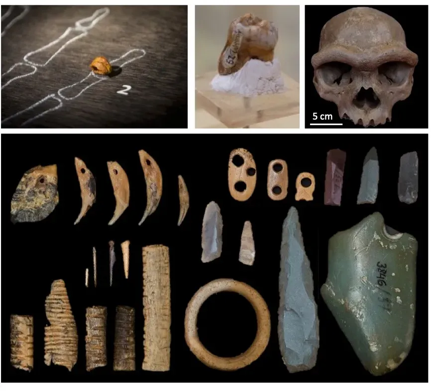 #5 - The Denisovan Puzzle: DNA From Ghost Ancestors (Image Credits: Wikimedia)