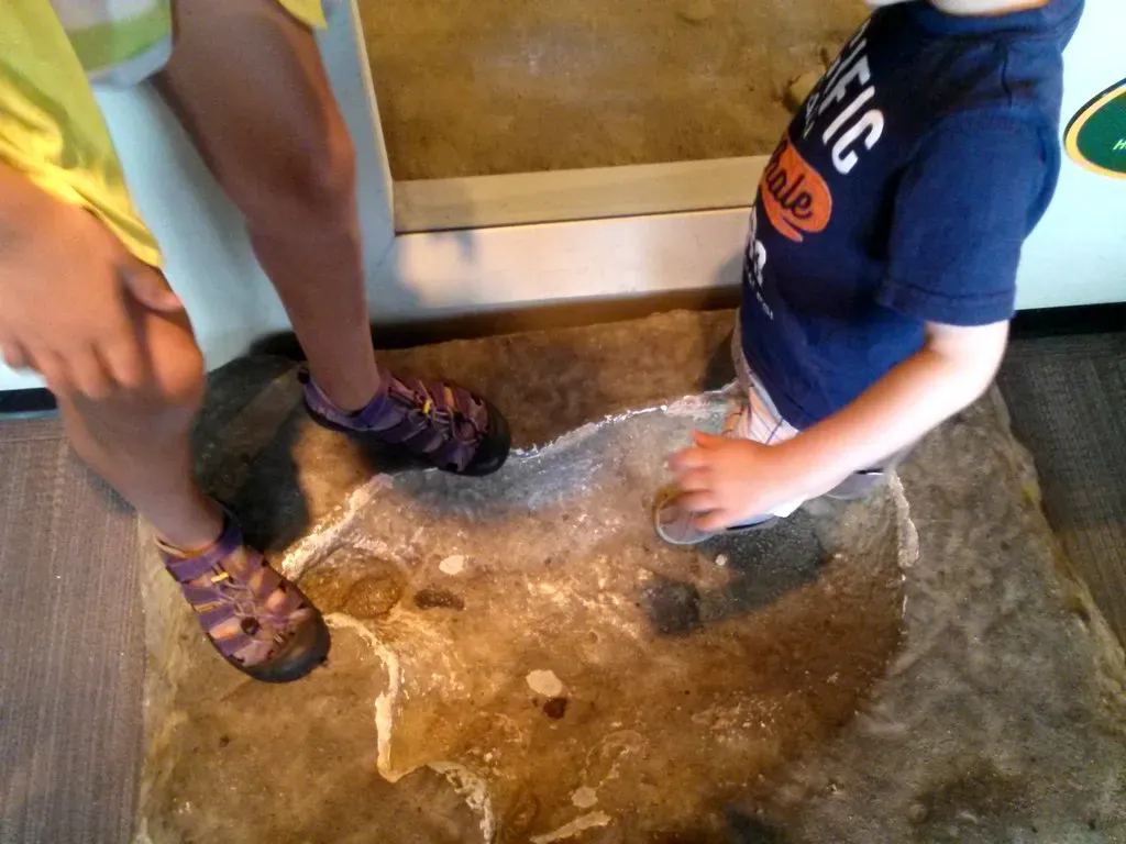 You Respect the Layers: Patterns, Details, and Deep Context (Image Credits: Flickr)