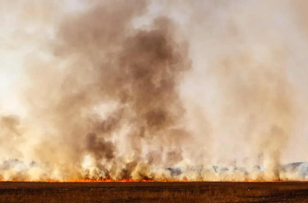 Shaping Landscapes: The World After Humans Controlled Fire (Image Credits: Unsplash)
