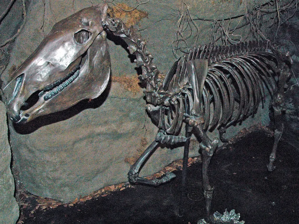 #5 - Alaska's "Ghost Horses" Living in the Soil (James St. John, Flickr, CC BY 2.0)
