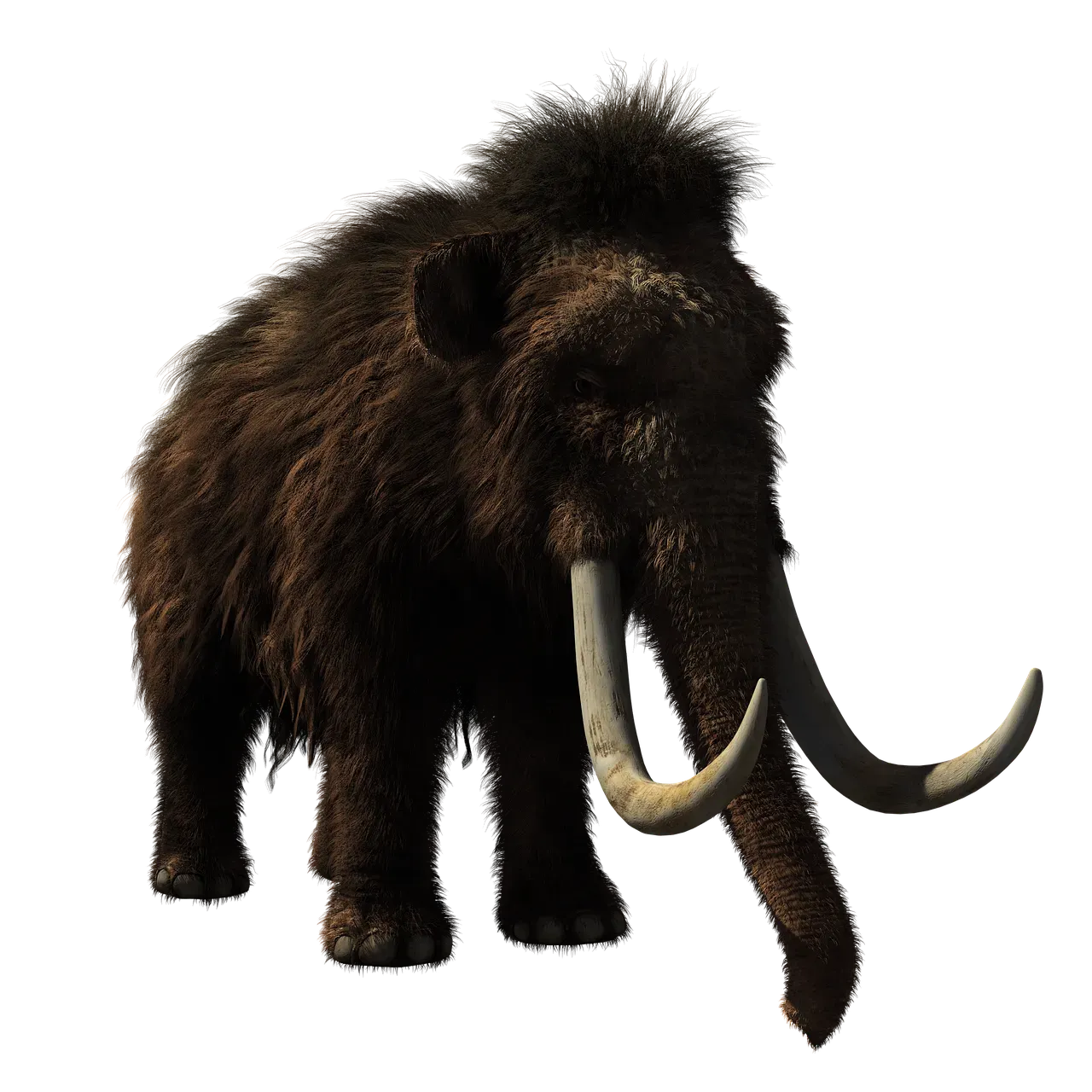 Ice Ages Created New Species and Cold-Adapted Giants (Image Credits: Pixabay)