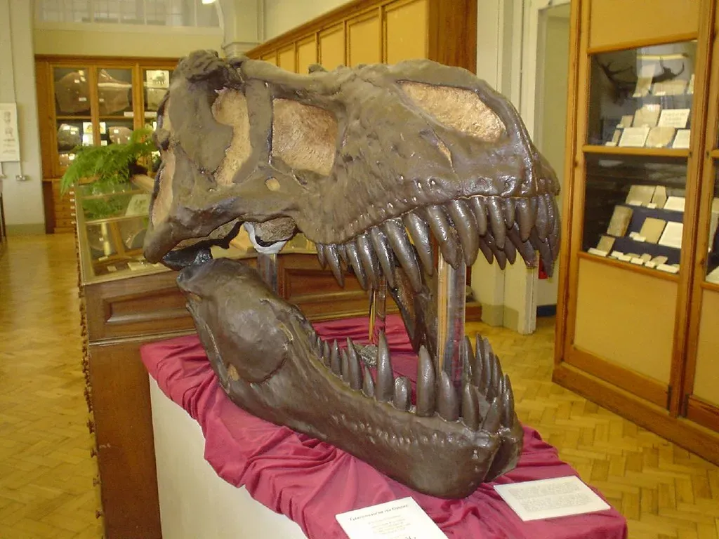 T. rex Had Senses Built for Domination (Image Credits: Flickr)