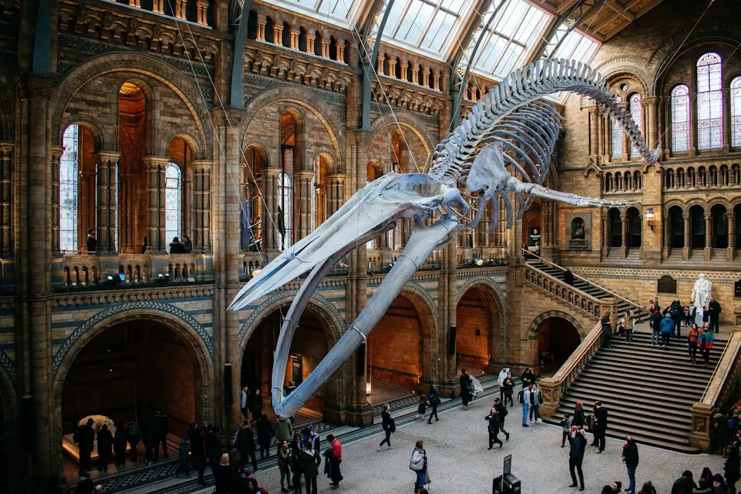 #14: London's Blue Whale "Hope" Went From Static Ceiling Prop To Diving Giant (Image Credits: Unsplash)