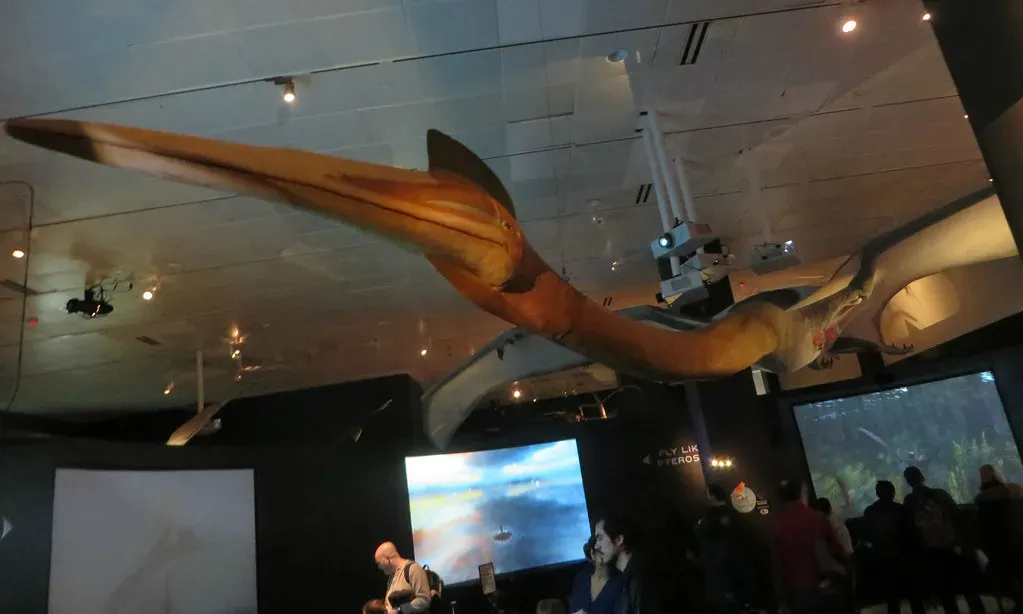 Quetzalcoatlus Was the Largest Flying Predator Ever (Image Credits: Flickr)