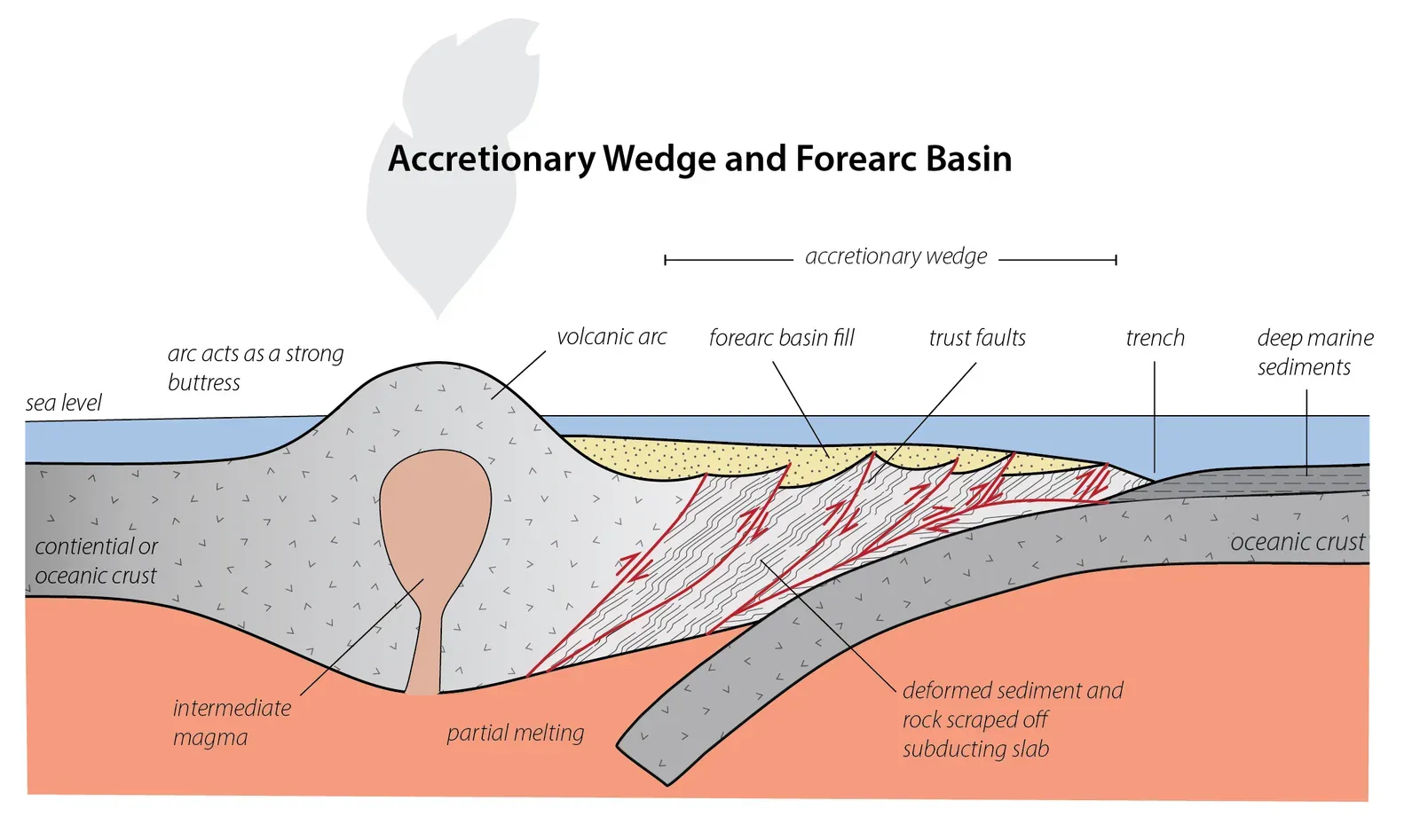 The Forearc Basin and Sediment Accumulation (Image Credits: Wikimedia)
