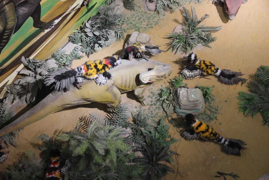 The Power of Teamwork Trumps Individual Strength (Image Credits: Flickr)