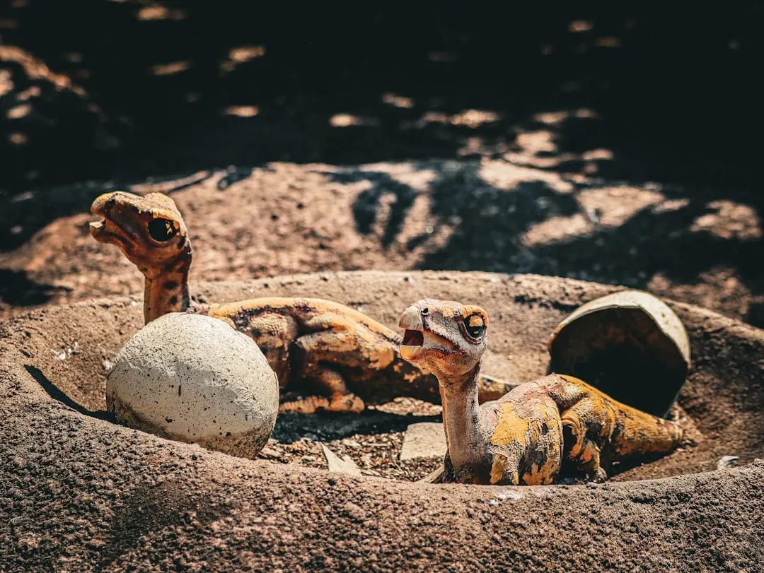 Nesting Grounds and Family Care: Parenting, Dinosaur-Style (Image Credits: Unsplash)
