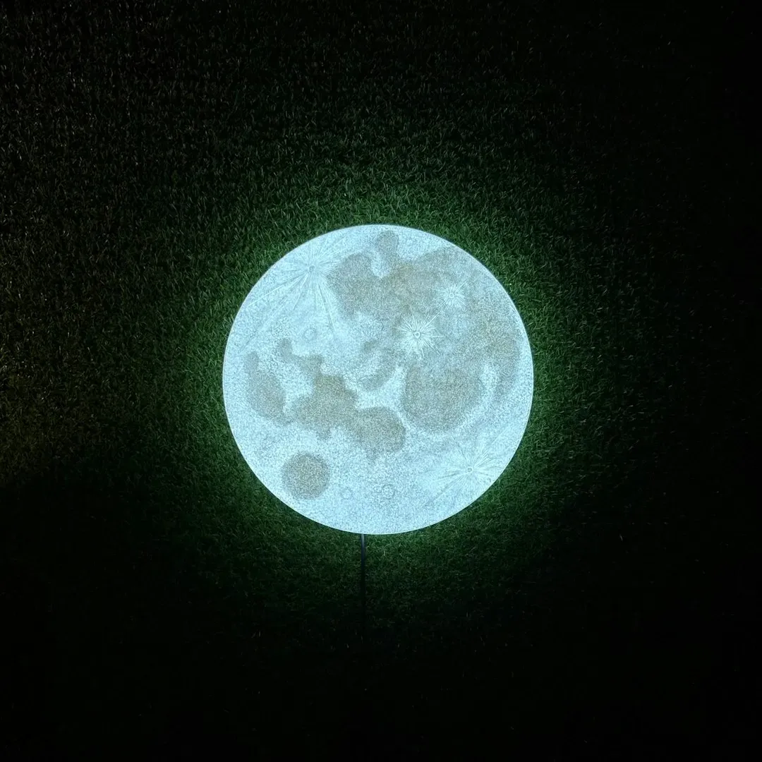 Full Moon Release and Gratitude Ceremonies (Image Credits: Unsplash)