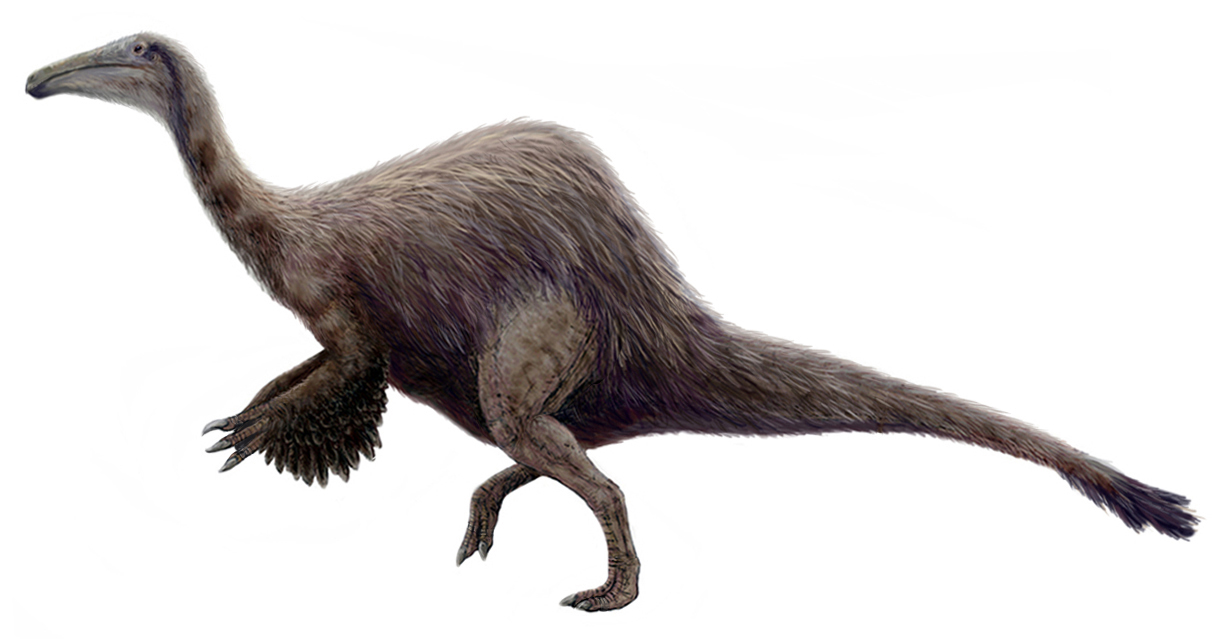 Deinocheirus: The Mysterious Giant with Terrible Hands (Image Credits: Wikimedia)